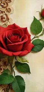 Elegant red rose with intricate background design.