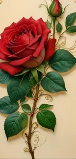 Elegant red rose with green leaves on beige background.
