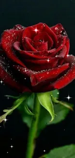 Elegant red rose with dewdrops against a dark background, perfect for mobile wallpaper.