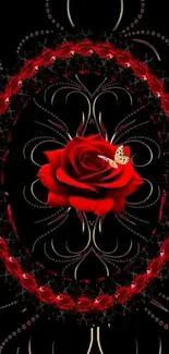 Red rose with a butterfly on black background.