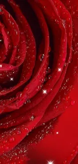 Close-up of a red rose with dewdrops and sparkles.