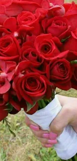 Elegant bouquet of red roses held in hand