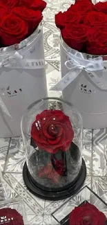 Elegant arrangement of red roses in luxury boxes on patterned floor.