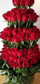 Elegant red roses arrangement in a vase.