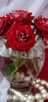 Elegant red roses in a clear vase with pearls on a white background.