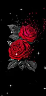Red roses with black background mobile wallpaper.