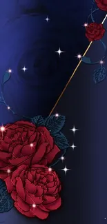 Elegant red roses on a deep navy blue background.