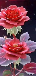 Two elegant red roses on a dark background with detailed petals.