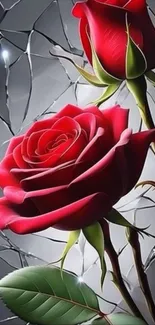 Red roses with cracked glass background.