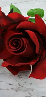 A close-up of red roses on a marble background.