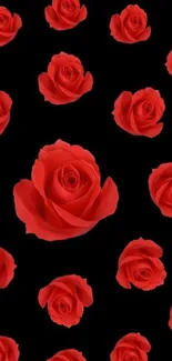 Elegant red roses on black background wallpaper.