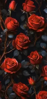 Elegant red roses on dark background wallpaper