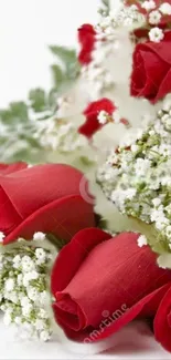 Elegant red roses with white flowers and green leaves on a wallpaper.