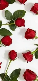 Elegant wallpaper with red roses and green leaves on a white background.