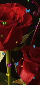 Elegant red roses with vibrant petals and green leaves on a dark background.