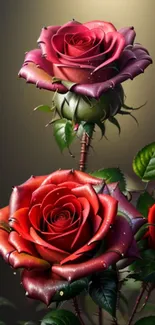 Mobile wallpaper featuring elegant red roses with vibrant green leaves.