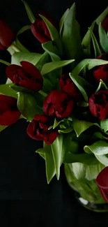 Elegant bouquet of red tulips on a dark background.