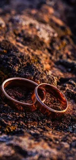 Two elegant rings on a rustic stone surface, exuding natural beauty.