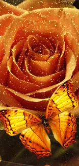 A beautiful orange rose with a butterfly and bokeh effect mobile wallpaper.