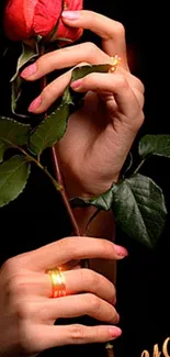 Hands holding a rose in elegant floral wallpaper.