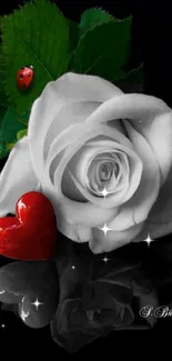 Elegant white rose with red heart design on dark background.