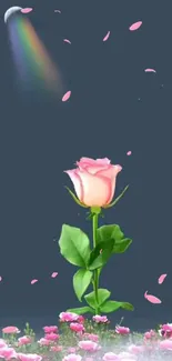 Pink rose under a moonlit night sky with a rainbow.