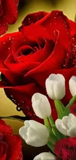 Red roses and white tulips on elegant golden background.