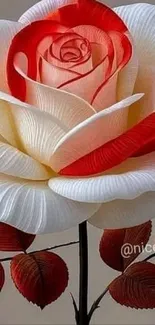 3D red and white rose with artistic design.