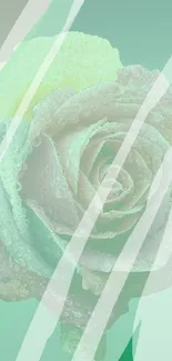 Stylish artistic phone wallpaper with a rose design.