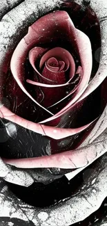 Black and white rose with artistic details.