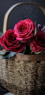 Vibrant red roses in a woven basket.