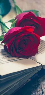 Red roses gracefully laid on an open book.