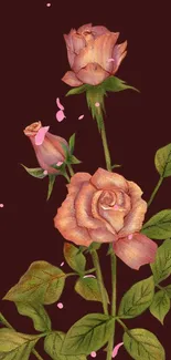 A detailed rose bouquet illustration on a burgundy background.