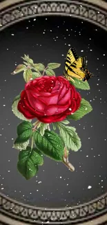 A red rose with a butterfly on a dark gray background.