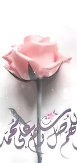 Mobile wallpaper with pink rose and calligraphy on white background.