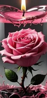 Pink rose inside a heart-shaped candle with flame.