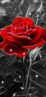 Red rose on grayscale artistic background wallpaper.