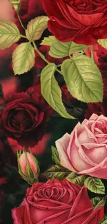 Elegant wallpaper with red and pink roses, and green leaves.