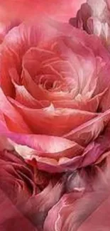 Elegant pink rose flower mobile wallpaper with vibrant hues.