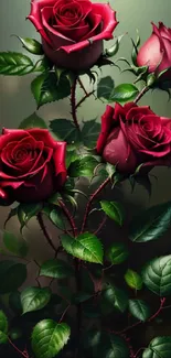 Elegant red roses with lush green leaves, perfect for nature-themed mobile wallpaper.