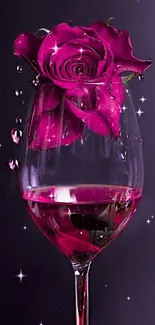 Vibrant red rose in a wine glass with droplets.