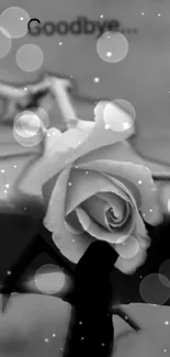 Black and white rose with bokeh, goodbye theme.