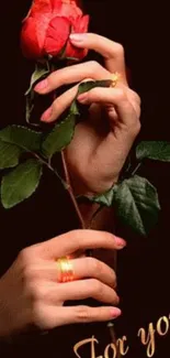 Hands holding a red rose against a dark background.