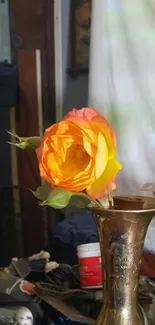 Vibrant orange rose in brass vase wallpaper, perfect for mobile display.