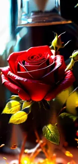 Stunning red rose encased in glass with glowing background on phone wallpaper.