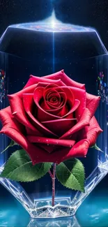 Red rose enclosed in crystal glass, set against a starry dark background.