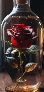 Red rose in a glass bottle with soft glowing background.