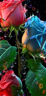 Elegant mobile wallpaper with vibrant blue and red roses adorned with water droplets.