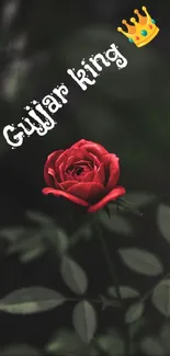 Red rose with 'Gujjar king' text on dark background.