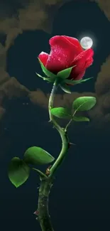 Red rose under a glowing moon in the night sky wallpaper.